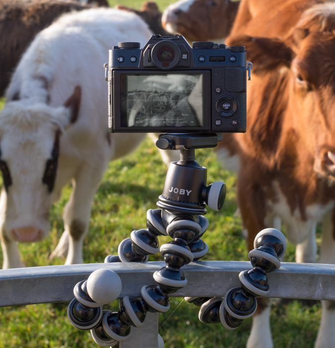 gorillapod